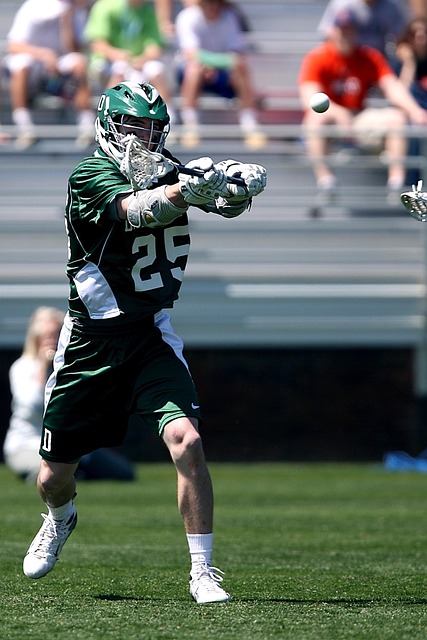 域的灌溉 域的灌溉