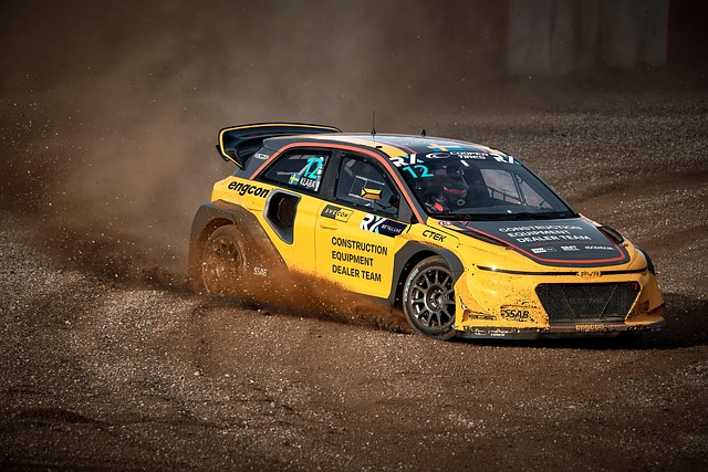 仅拓宽了世 仅拓宽了世